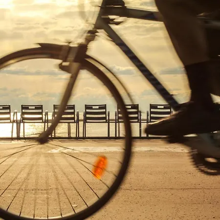 My Casa - Dijon Nizza